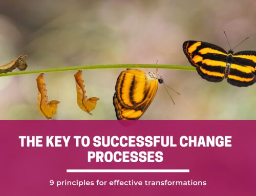 Successful change processes